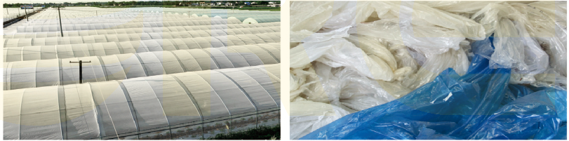 PE/PP Film Recycling Washing Line(500-1000kg/h)