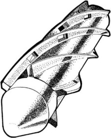 Turbo-Screw of the Extruder